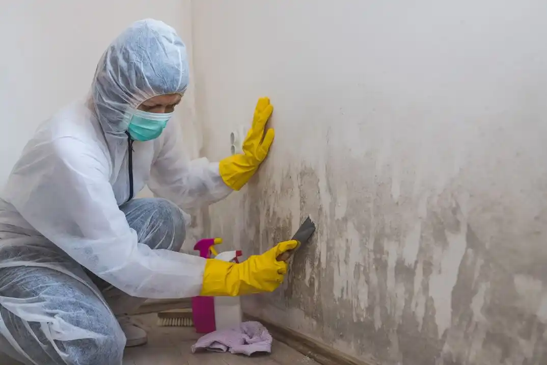 water damage restoration service Lyell-Otis